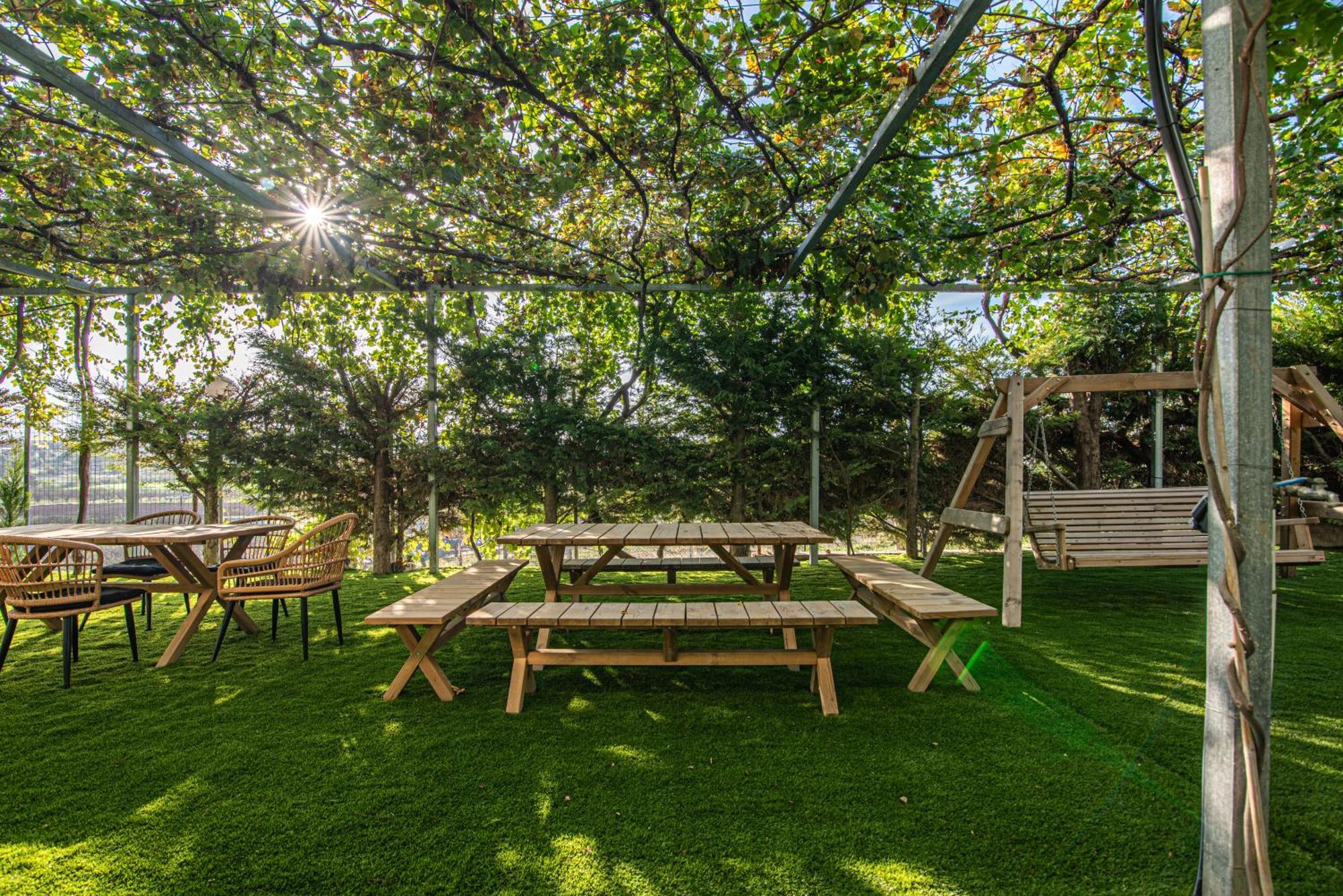 Chamomile Apartment Oinofyta Dış mekan fotoğraf