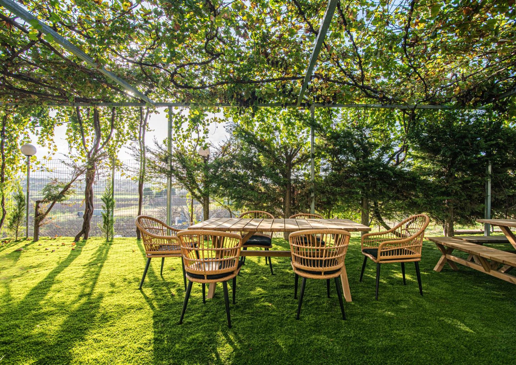 Chamomile Apartment Oinofyta Dış mekan fotoğraf